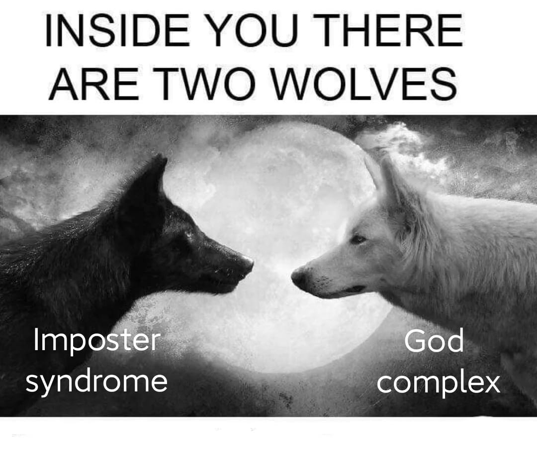 Two wolves meme